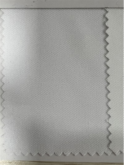 DG-HXC RPET全滌帆布 正面照